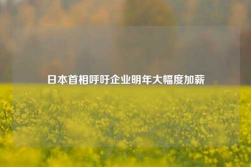 日本首相呼吁企业明年大幅度加薪-第1张图片-中共霸州城区办事处-何庄社区