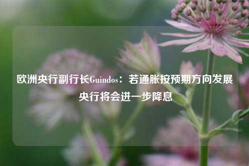 欧洲央行副行长Guindos：若通胀按预期方向发展 央行将会进一步降息-第1张图片-中共霸州城区办事处-何庄社区