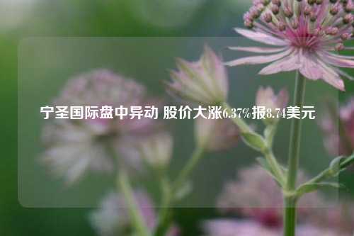 宁圣国际盘中异动 股价大涨6.37%报8.74美元-第1张图片-中共霸州城区办事处-何庄社区