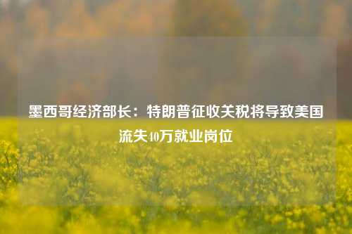 墨西哥经济部长：特朗普征收关税将导致美国流失40万就业岗位-第1张图片-中共霸州城区办事处-何庄社区