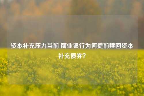 资本补充压力当前 商业银行为何提前赎回资本补充债券？-第1张图片-中共霸州城区办事处-何庄社区