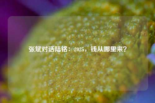 张斌对话陆铭：2025，钱从哪里来？-第1张图片-中共霸州城区办事处-何庄社区