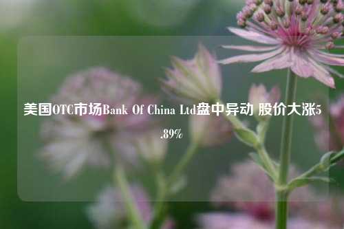 美国OTC市场Bank Of China Ltd盘中异动 股价大涨5.89%-第1张图片-中共霸州城区办事处-何庄社区