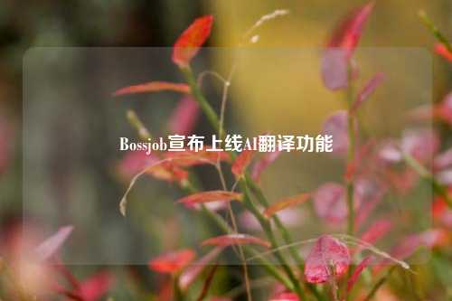 Bossjob宣布上线AI翻译功能-第1张图片-中共霸州城区办事处-何庄社区