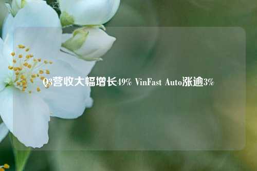 Q3营收大幅增长49% VinFast Auto涨逾3%-第1张图片-中共霸州城区办事处-何庄社区