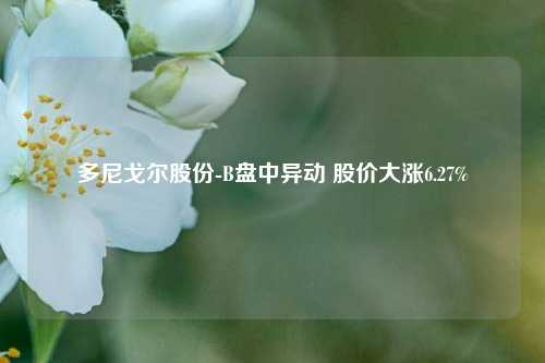 多尼戈尔股份-B盘中异动 股价大涨6.27%-第1张图片-中共霸州城区办事处-何庄社区