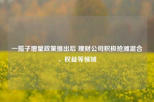 一揽子增量政策推出后 理财公司积极抢滩混合、权益等领域-第1张图片-中共霸州城区办事处-何庄社区