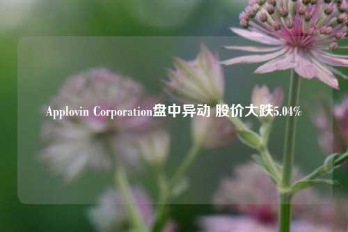 Applovin Corporation盘中异动 股价大跌5.04%-第1张图片-中共霸州城区办事处-何庄社区