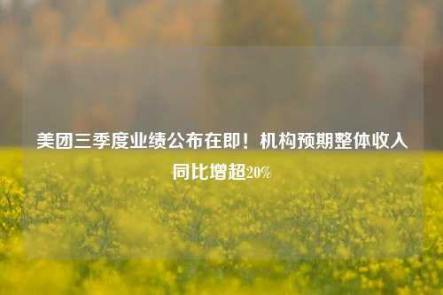 美团三季度业绩公布在即！机构预期整体收入同比增超20%-第1张图片-中共霸州城区办事处-何庄社区