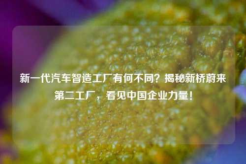 新一代汽车智造工厂有何不同？揭秘新桥蔚来第二工厂，看见中国企业力量！-第1张图片-中共霸州城区办事处-何庄社区