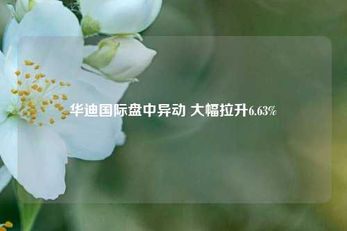 华迪国际盘中异动 大幅拉升6.63%-第1张图片-中共霸州城区办事处-何庄社区