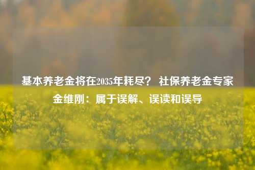 基本养老金将在2035年耗尽？ 社保养老金专家金维刚：属于误解、误读和误导-第1张图片-中共霸州城区办事处-何庄社区