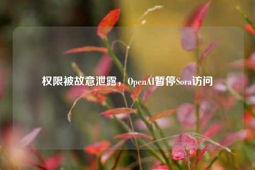 权限被故意泄露，OpenAI暂停Sora访问-第1张图片-中共霸州城区办事处-何庄社区