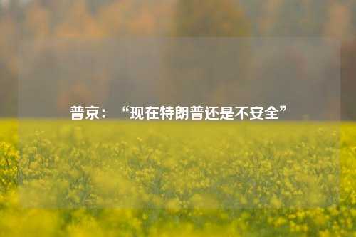 普京：“现在特朗普还是不安全”-第1张图片-中共霸州城区办事处-何庄社区