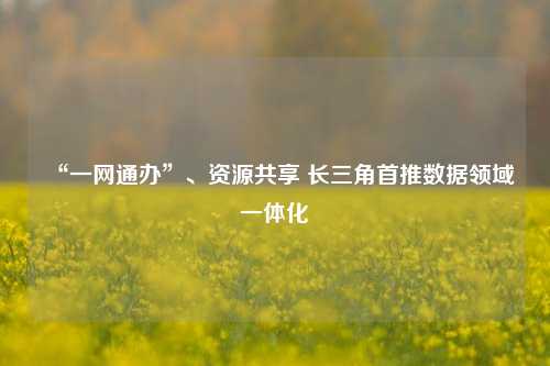 “一网通办”、资源共享 长三角首推数据领域一体化-第1张图片-中共霸州城区办事处-何庄社区