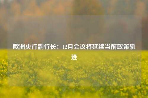 欧洲央行副行长：12月会议将延续当前政策轨迹-第1张图片-中共霸州城区办事处-何庄社区