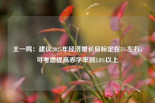 王一鸣：建议2025年经济增长目标定在5%左右，可考虑提高赤字率到3.8%以上-第1张图片-中共霸州城区办事处-何庄社区