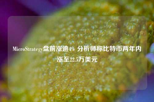 MicroStrategy盘前涨逾4% 分析师称比特币两年内涨至22.5万美元-第1张图片-中共霸州城区办事处-何庄社区