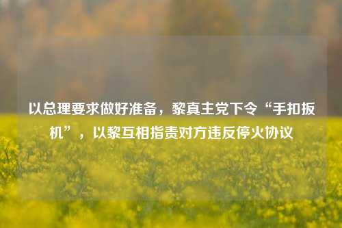 以总理要求做好准备，黎真主党下令“手扣扳机”，以黎互相指责对方违反停火协议-第1张图片-中共霸州城区办事处-何庄社区