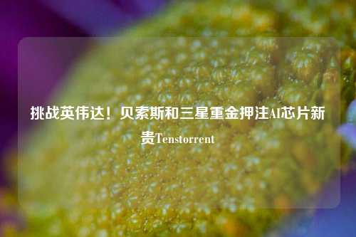 挑战英伟达！贝索斯和三星重金押注AI芯片新贵Tenstorrent-第1张图片-中共霸州城区办事处-何庄社区