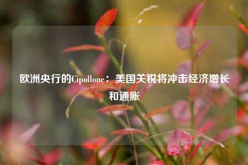 欧洲央行的Cipollone：美国关税将冲击经济增长和通胀-第1张图片-中共霸州城区办事处-何庄社区