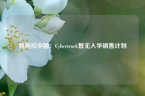 特斯拉中国：Cybertruck暂无入华销售计划-第1张图片-中共霸州城区办事处-何庄社区