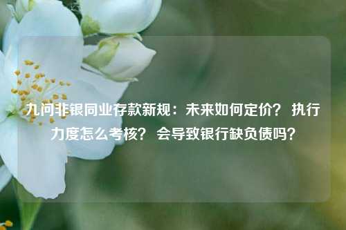 九问非银同业存款新规：未来如何定价？ 执行力度怎么考核？ 会导致银行缺负债吗？-第1张图片-中共霸州城区办事处-何庄社区