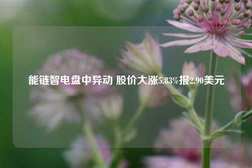 能链智电盘中异动 股价大涨5.83%报2.90美元-第1张图片-中共霸州城区办事处-何庄社区