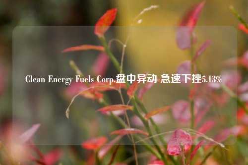 Clean Energy Fuels Corp.盘中异动 急速下挫5.13%-第1张图片-中共霸州城区办事处-何庄社区