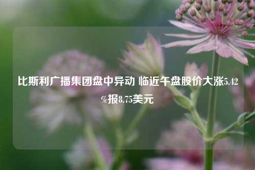 比斯利广播集团盘中异动 临近午盘股价大涨5.42%报8.75美元-第1张图片-中共霸州城区办事处-何庄社区