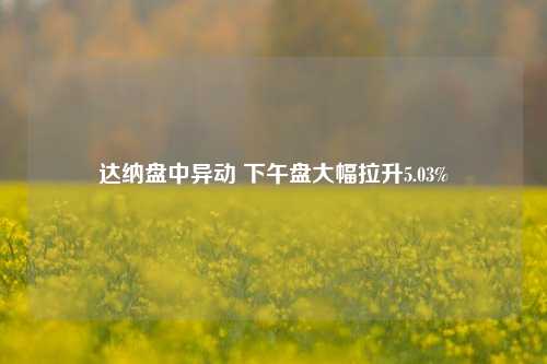 达纳盘中异动 下午盘大幅拉升5.03%-第1张图片-中共霸州城区办事处-何庄社区