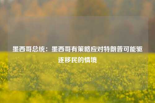 墨西哥总统：墨西哥有策略应对特朗普可能驱逐移民的情境-第1张图片-中共霸州城区办事处-何庄社区