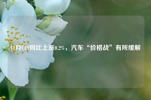 11月CPI同比上涨0.2%，汽车“价格战”有所缓解-第1张图片-中共霸州城区办事处-何庄社区