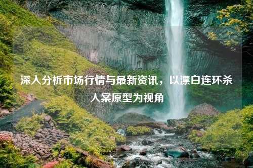 深入分析市场行情与最新资讯，以漂白连环杀人案原型为视角