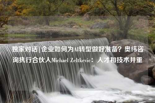 独家对话|企业如何为AI转型做好准备？奥纬咨询执行合伙人Michael Zeltkevic：人才和技术并重