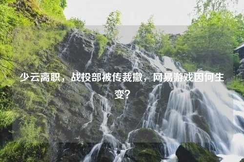 少云离职，战投部被传裁撤，网易游戏因何生变？