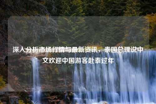 深入分析市场行情与最新资讯，泰国总理说中文欢迎中国游客赴泰过年