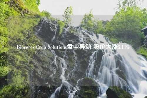 Bioceres Crop Solutions盘中异动 股价大涨5.11%