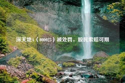 深天地A（000023）被处罚，股民索赔可期