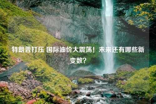 特朗普打压 国际油价大震荡！未来还有哪些新变数？